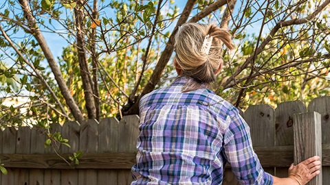 tuin regels en conflicten met buren